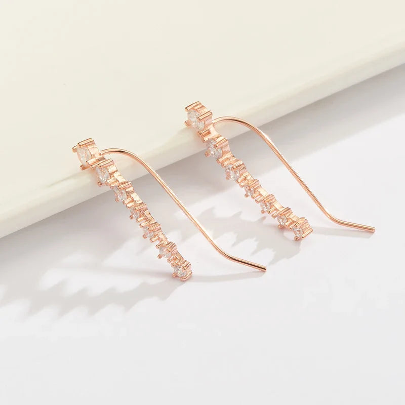 REETI New High Quality Super Shiny Zircon 925 Sterling Silver  Earring for Women Jewelry Wholesale Gift Ear row