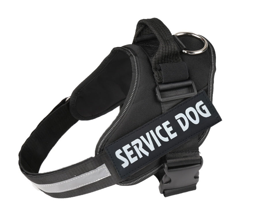 Pet chest strap with dog leash