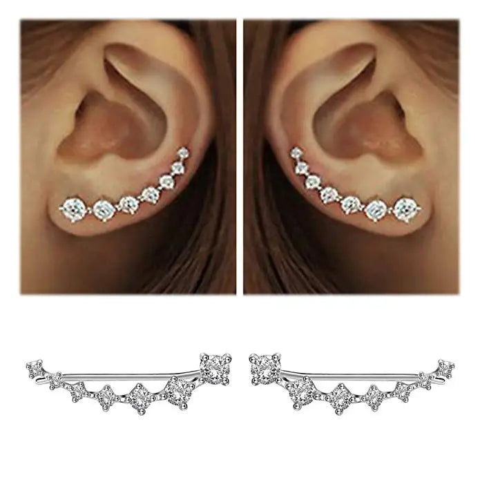 REETI New High Quality Super Shiny Zircon 925 Sterling Silver  Earring for Women Jewelry Wholesale Gift Ear row